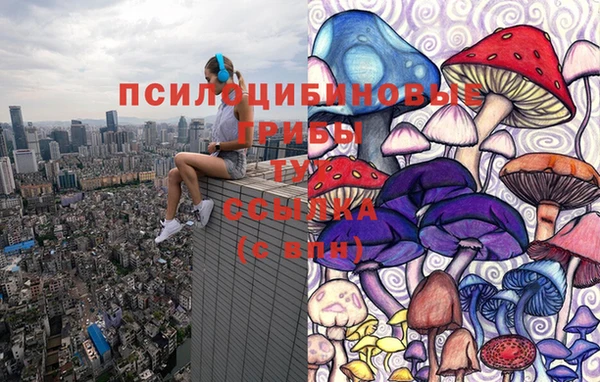 хмурый Нязепетровск