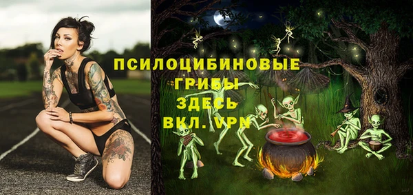 хмурый Нязепетровск