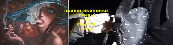 ALPHA-PVP Няндома
