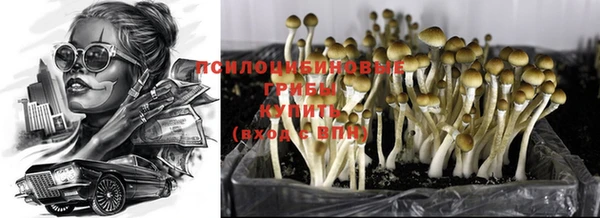 мет Верея