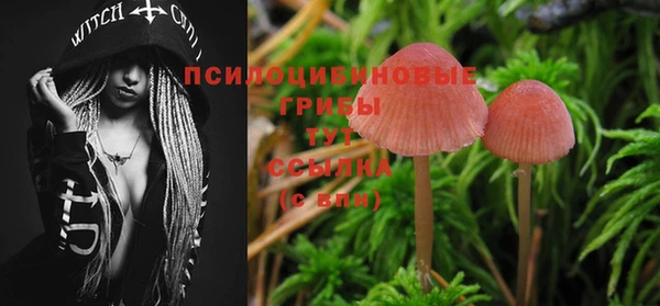 кокс Нягань
