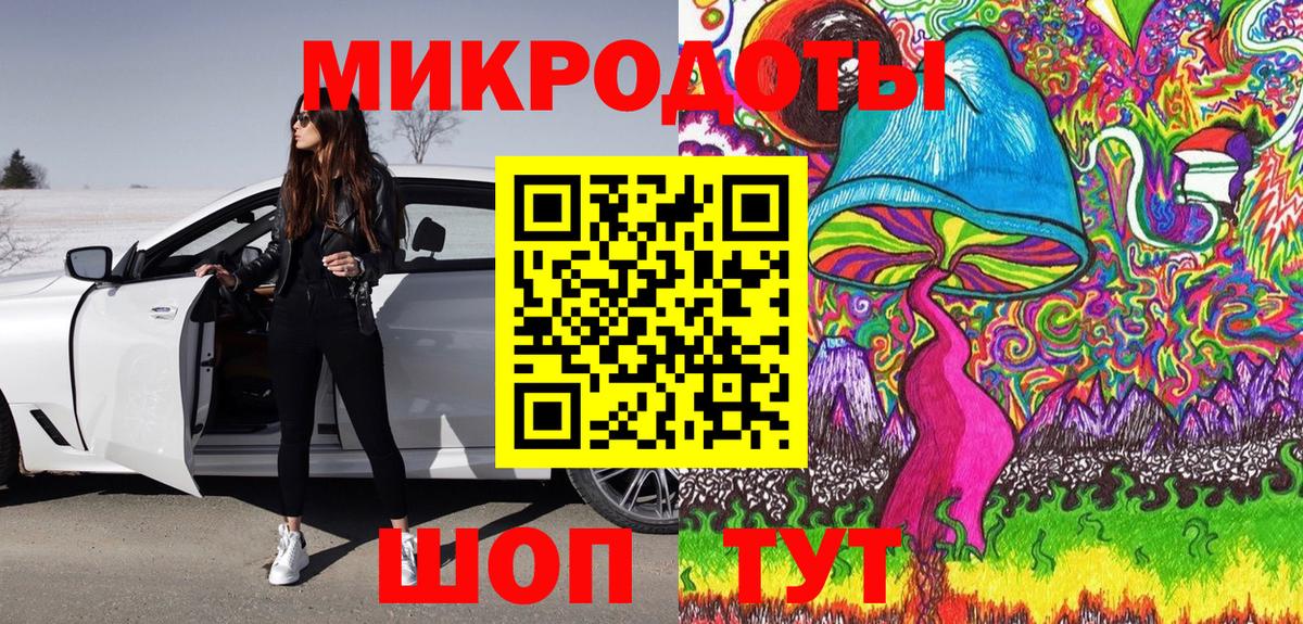 Псилоцибиновые грибы Psilocybine cubensis Советская Гавань