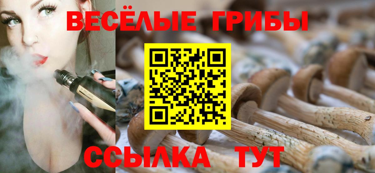 Галлюциногенные грибы Cubensis  Вход с VPN  Советская Гавань 